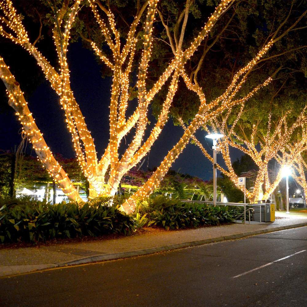 Holiday Decoration Light